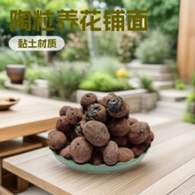 �����B�� ���l�@�־G�������滨�܉|���p�|�l���g������������