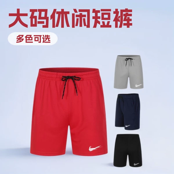 Cross-Border Amazon Summer Men's Mid-Waist Drawstring Quick-Dry Mesh Shorts Large Size Casual Versatile Beach Shorts Single Piece