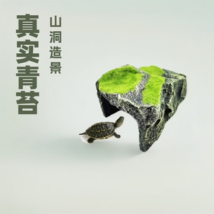 Insect Crate Tortoise Escape House Cave Landscaping Spider Tortoise Realistic Moss Cave Flocking Tortoise Cave Basking