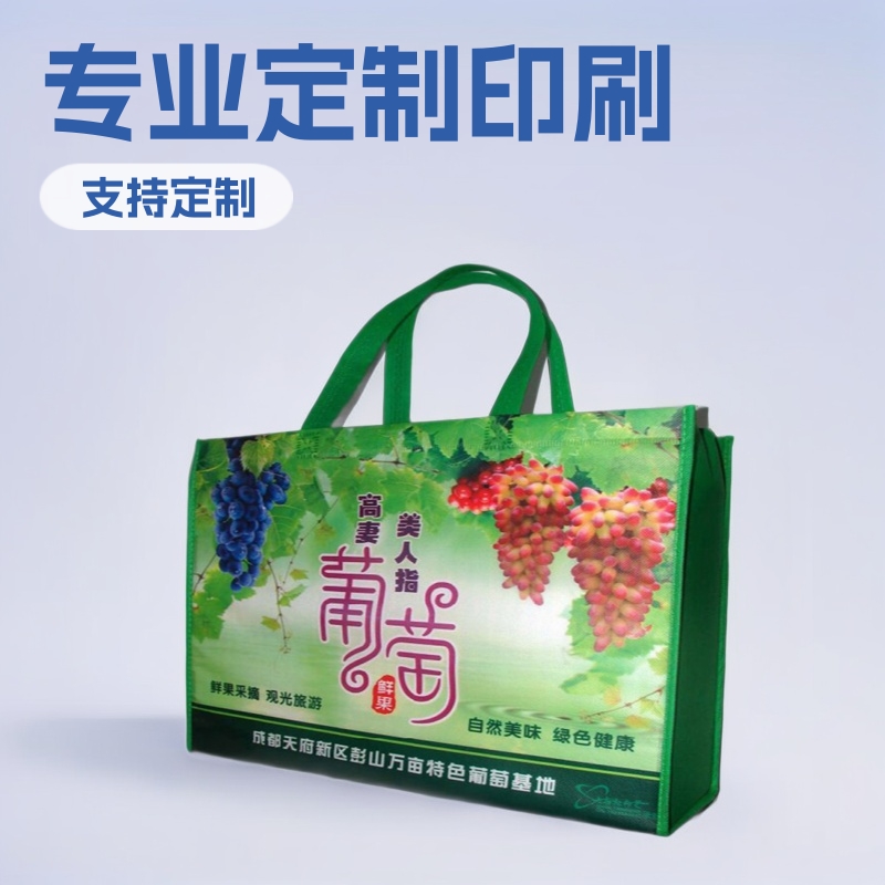 专业包装纸袋无纺手提袋服装袋子外卖打包袋彩色印LOGO汕头印刷厂