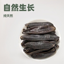 中药材清水吊干水蛭野生水蛭500g宽体金线蚂蝗干水蛭干水蛭粉批发