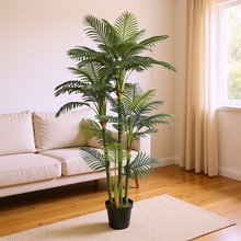 �羳���N�����ѿ��Pβ�F��ɢβ��������Ա��W�L��ֲ���̈��b�