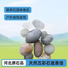 户外庭院鹅卵石石头批发原石天然五彩石园林鱼缸沙石造景河卵石