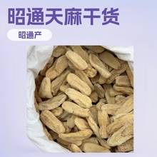 云南昭通天麻产地天麻批发小草坝天麻干货散装中500g药材