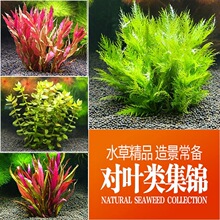 ~ˮݡˮֲˮ쾰~׻wˮݺBbˮ