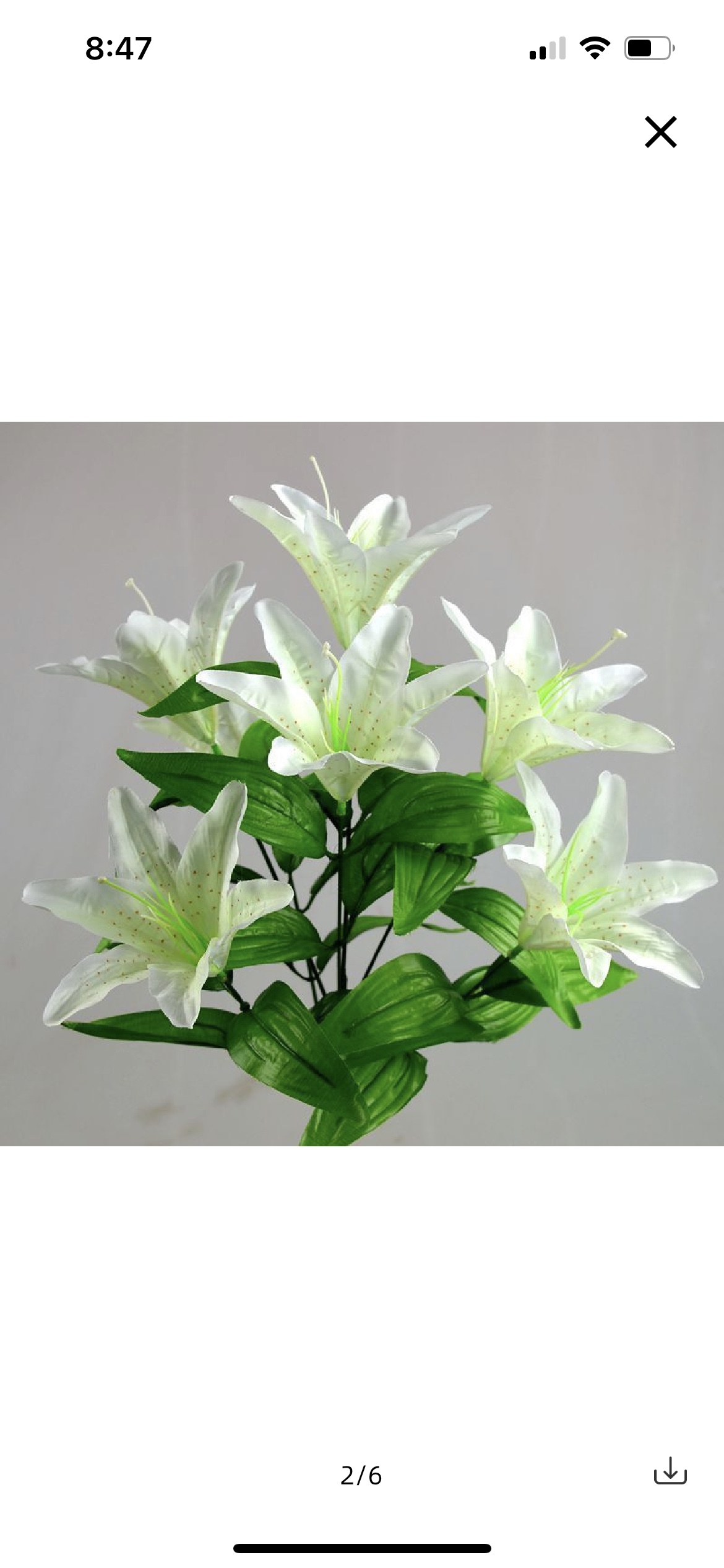 Trắng hoa huệ đơn bó