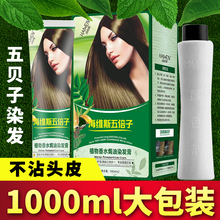1000ml���屶ؐ��ֲ��Ⱦ�l����Ʒ��Ⱦ�l��Ů2025����ɫ�@���w�װl