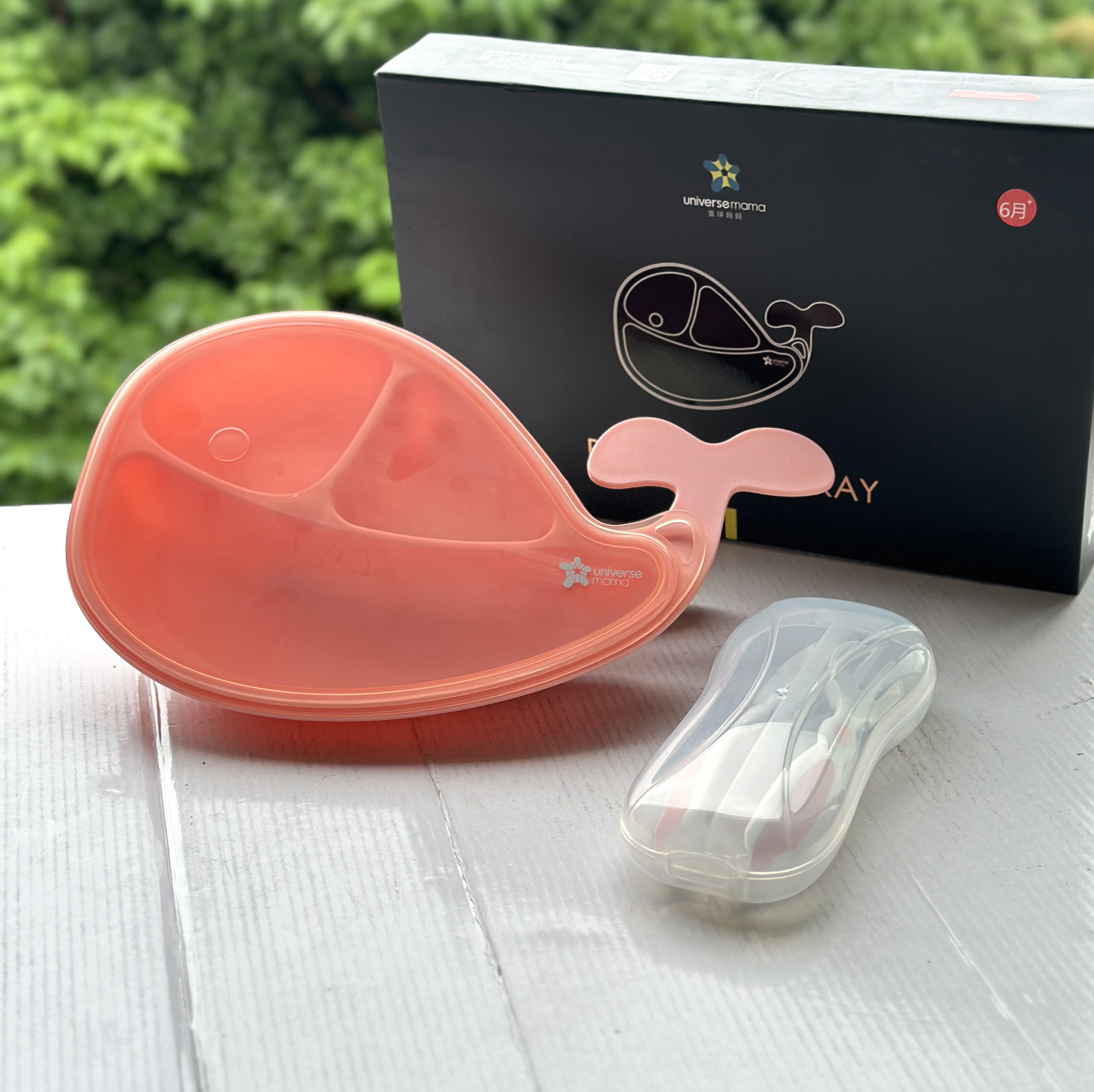 Clearance Sale Special Price 4.9 Yuan Children's Dinner Plate Imitation Whale Tableware Anti-Fall Children's Supplementary Food Bowl Color Box Set