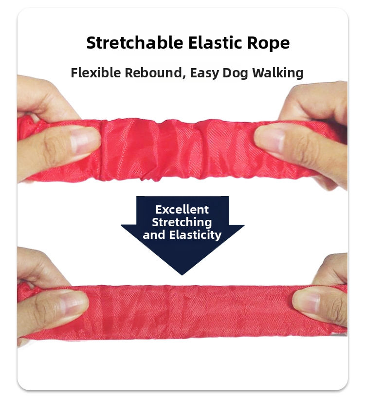 Dog Pet Exercise Kit With Reflective Leash And Training Bag For Large Dogs_voghion.com