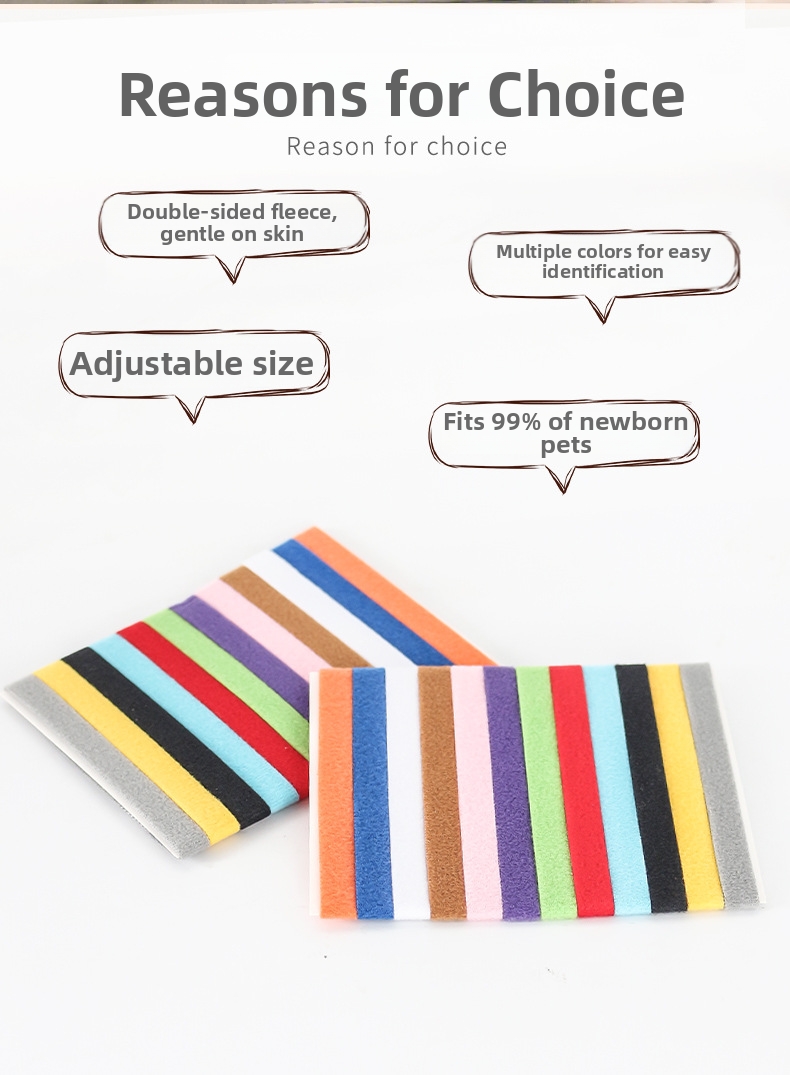 Pet Identification Collars For Kittens And Puppies Marker Rings_voghion.com