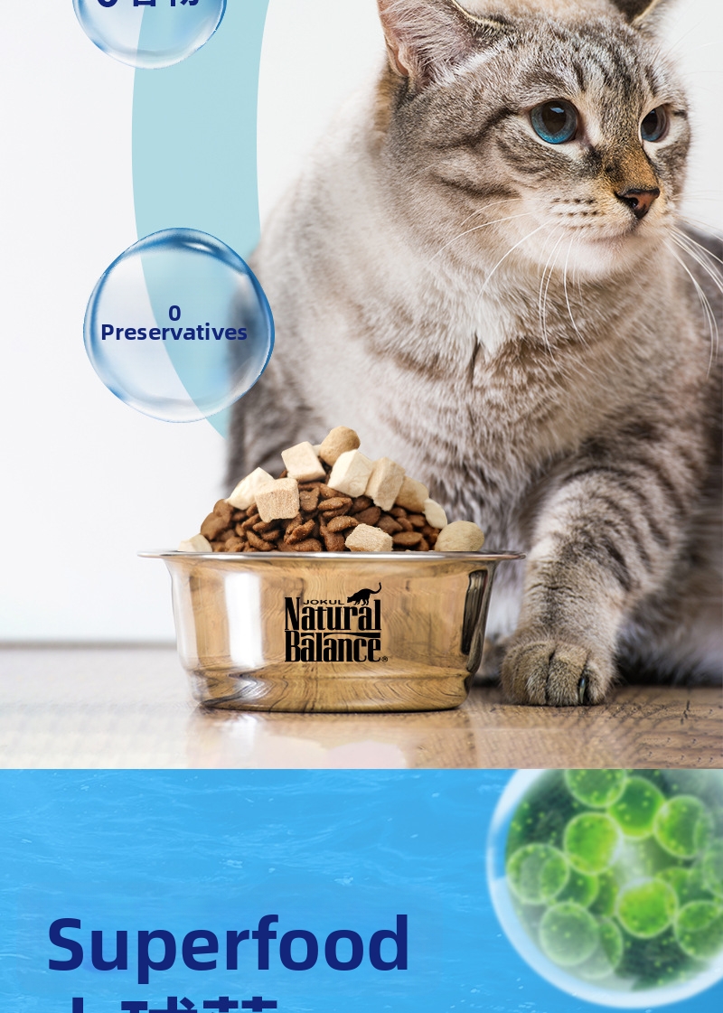 Snow mountain torrfoder för katter med lax och högt protein_voghion.com