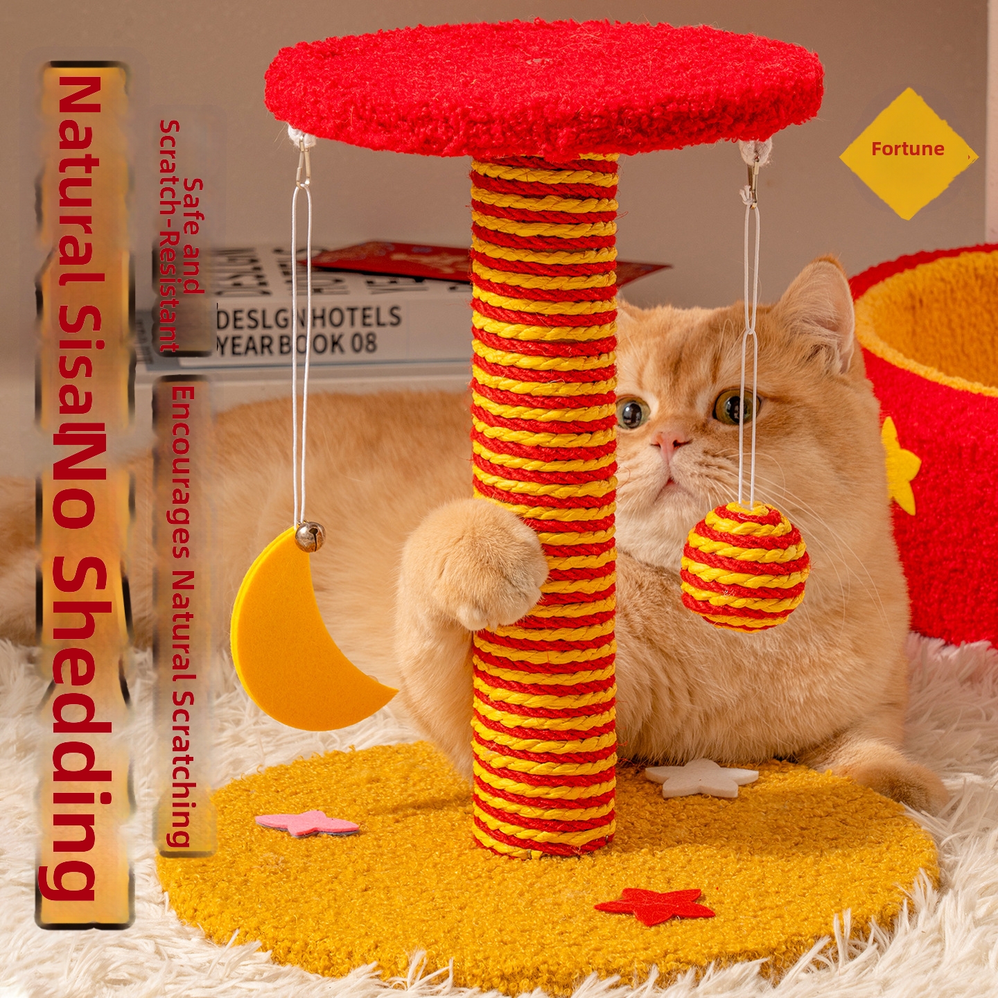 Structure d'escalade pour chat Ciel étoilé Mars, plateforme de saut verticale résistante à l'usure et sans débris, griffoir et jouet aiguiseur de griffes_voghion.com