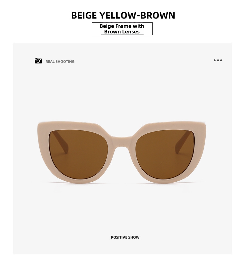 Trendy Cat Eye Sunglasses For Women Oversized Retro Sun Glasses_voghion.com