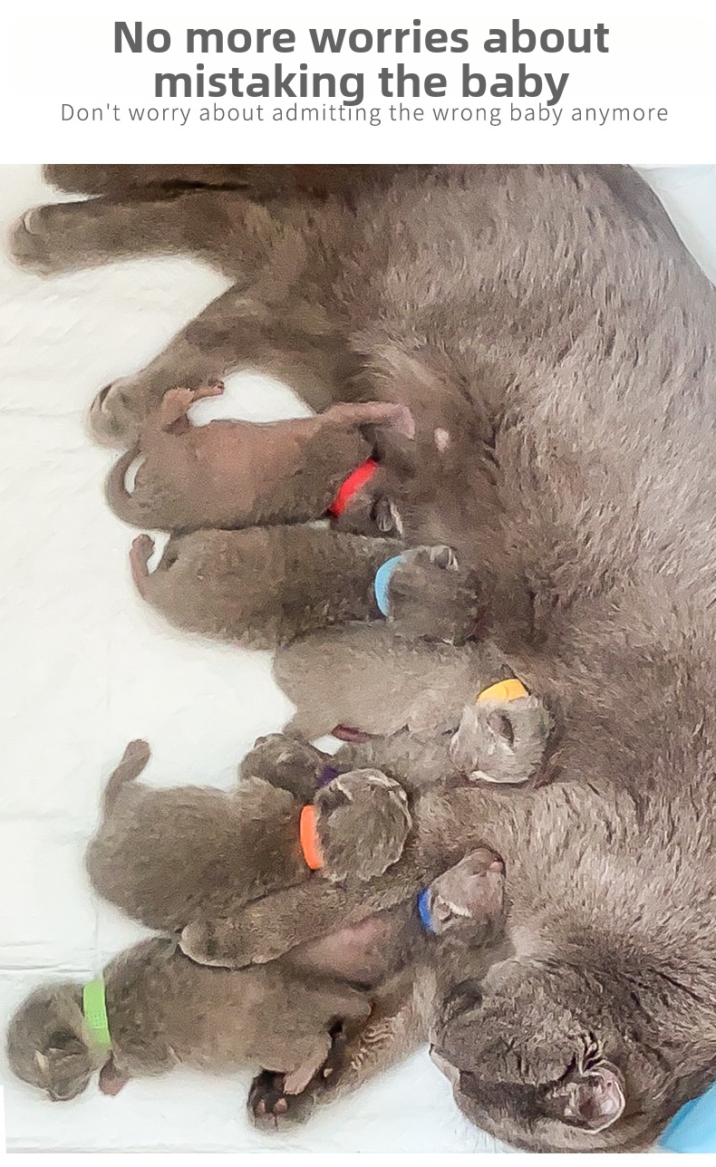 Pet Identification Collars For Kittens And Puppies Marker Rings_voghion.com