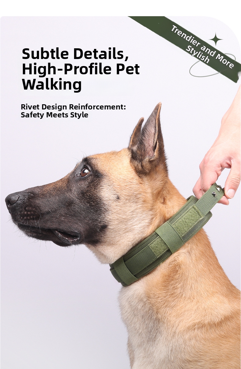 Adjustable Nylon Dog Collar For Medium And Large Breed Dogs_voghion.com