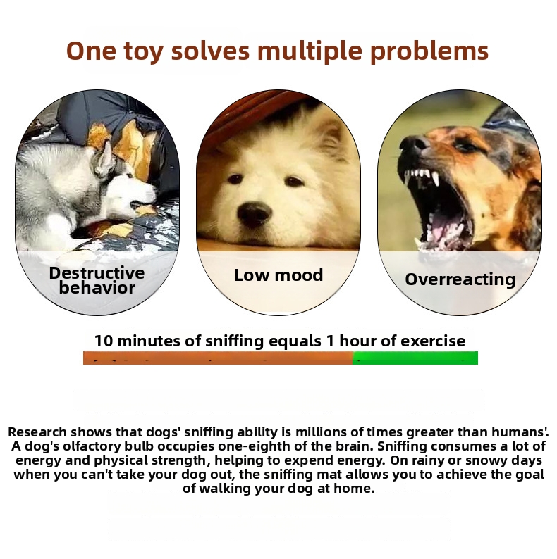 Interaktives Hundespielzeug Mit Quietscher Und Leckerli-versteck_voghion.com