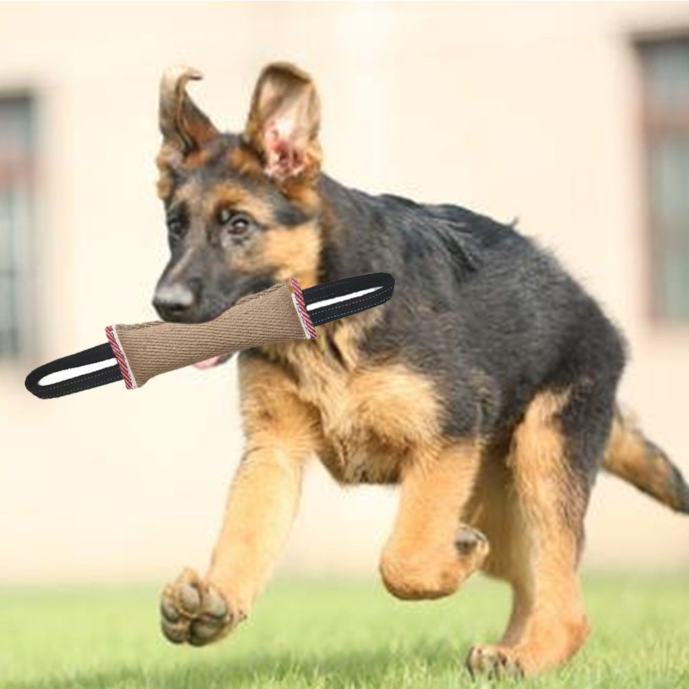 Jute-Kaustangen für Hunde, Hundetrainingszubehör, Beißringe, robuste Haustier-Applikatoren, Hundespielzeug_voghion.com
