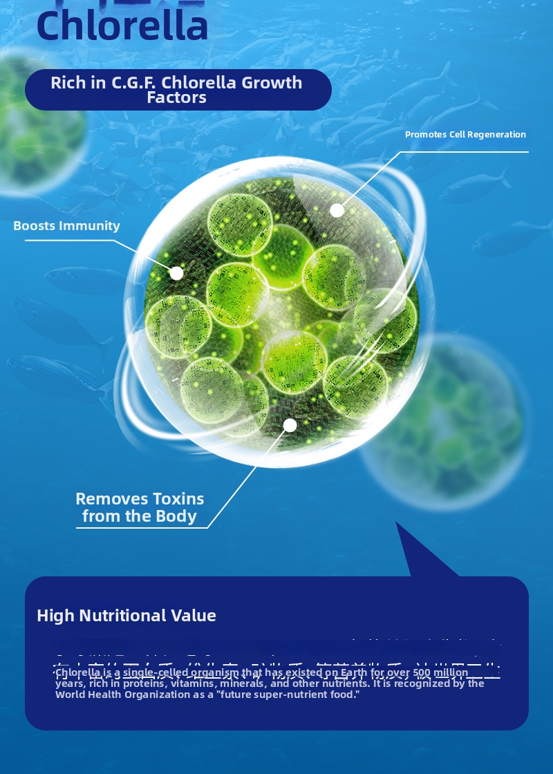 Snow mountain torrfoder för katter med lax och högt protein_voghion.com