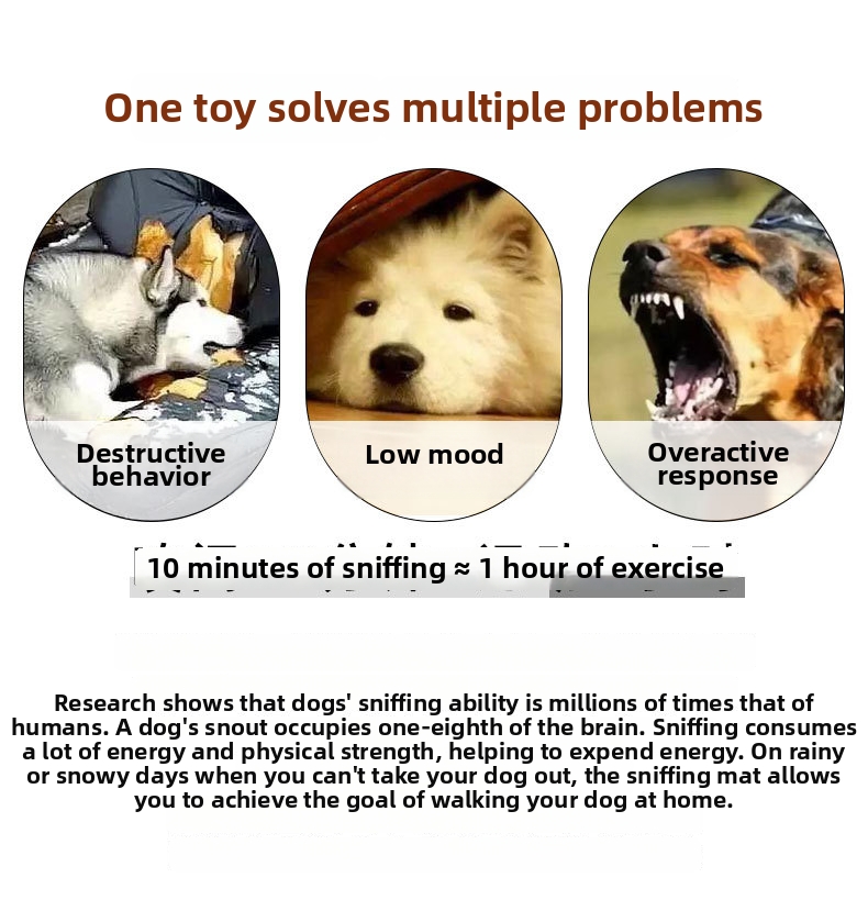 Interactive Dog Sniffing Mat And Squeaking Toy For Stress Relief_voghion.com