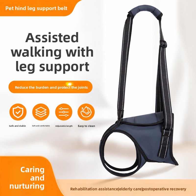 Cinto de suporte para patas traseiras de cães idosos_voghion.com