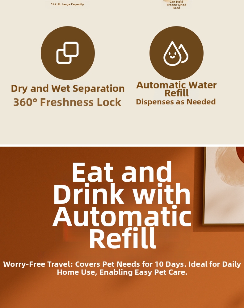 Fontaine à eau pour chat avec gamelle anti-acné détachable_voghion.com