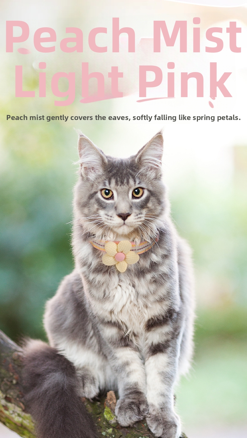 Collier pour chat anti-fugue réglable et réfléchissant_voghion.com