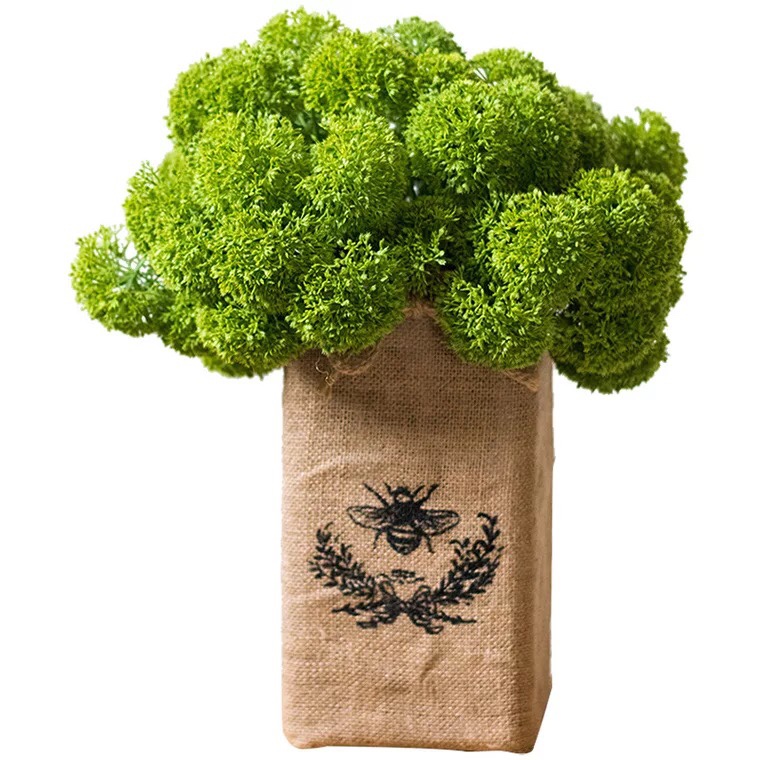 Simulated Green Onion Bouquet, Coral, Mousse Bouquet, Floral Arrangement, Fresh Literary and Artistic Green Plant Decorative Flower Arrangement Accessories