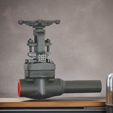 ��Һ�ſ��y DV113 �ſՌ����y