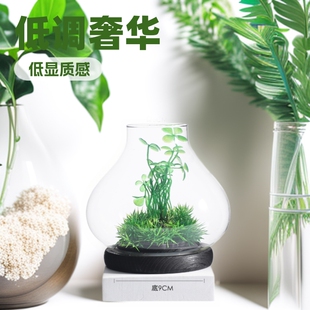 Micro Landscape Glass Bottle Vase Desktop Ornaments Ecological Bottle Plant Bottle Glass Craft Decoration Without Contents
