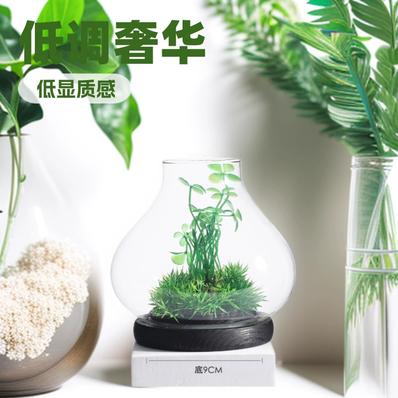 Микро Пейзаж Стеклянная Бутылка Ваза Настольные Украшения Экологическая Бутылка Завод Бутылка Стекло Ремесло Украшение Без Содержания