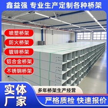 100*50桥架槽式桥架防火喷塑电缆桥架100*75铝合金热浸锌镀锌桥架