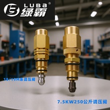 绿田绿霸18145泵头清洗机洗车机 高压水枪18M 19M 调压阀总成调压