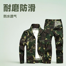 �Բʹ��������b����ĥ���B���ع��b�W��Ӗ�������w����·���ӡ��