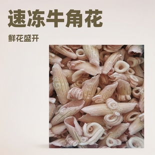 ������~��10��ţ�ǻ� ���~β�� ���~���r�ك�Ŀ�~�����ʳ�����l