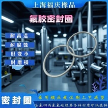规格齐全定制橡胶密封圈氟耐酸耐碱耐高温耐腐蚀形变小适用广泛