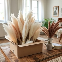 ���R�d���N�ɻ�����С�JȔ�ɻ� �����������b�С�JȔ�����m��