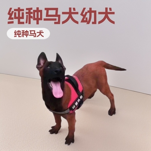 ���ۼ��N�RȮ��Ȯ�ڼt�RȮ�Sɫ�RȮ��Ŀ�RȮ��Ȯ���w���l�r��