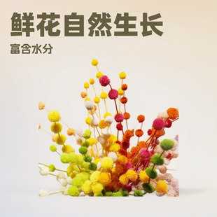 Lollipop Eternal Flower Fruit Flower Arrange Craft Gift bouquet regular accessories Wedding floral soft decoration