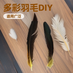Դ�^�S�� 24/29cm��ɫȾɫβë �赸����  DIY�ֹ���ë  ���bñ��