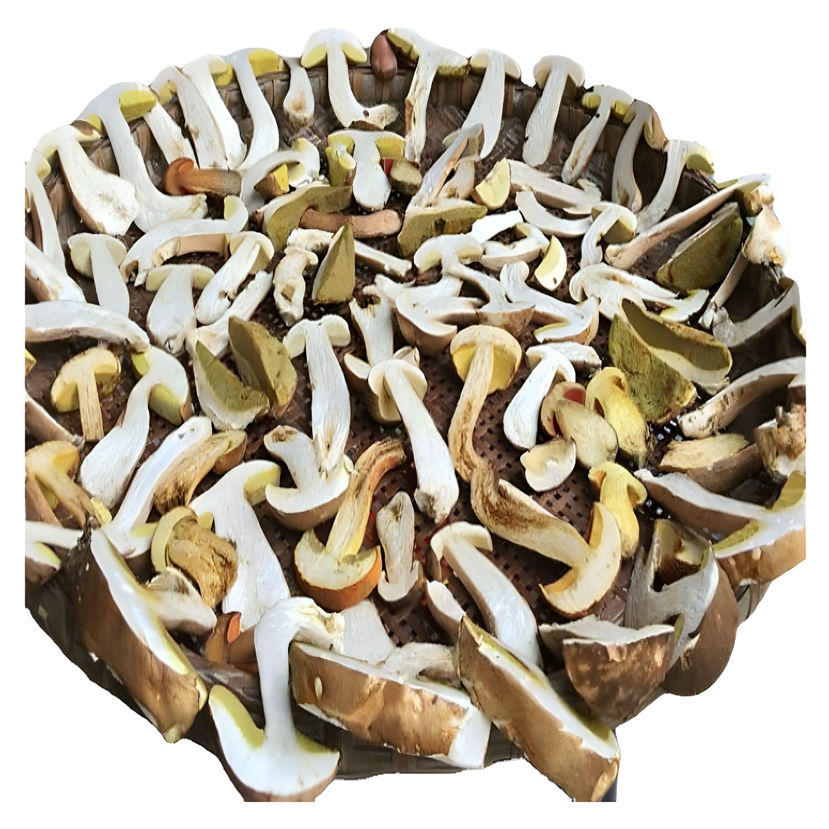 牛肝菌 美味牛肝 干货 白牛肝 青川特产农家户外干牛肝菌批发包邮
