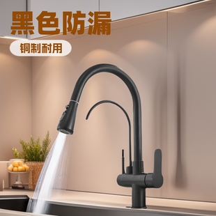 Black Spring Copper Pull-Out Water Purifier Kitchen Faucet Direct Drinking Water Three-In-One Water Purifier Sink Hot and Cold Household