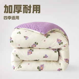 100% genuine goods AB Noodles Beans Quilt Winter Quilt Thickened Beans Velvet Single Student Dormitory Quilt Core Quilt
