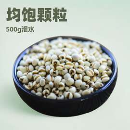 薏米贵州新货薏仁薏米仁薏苡仁产地直供中药材批发薏米茶500g芡实