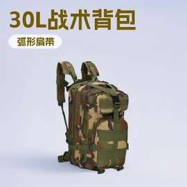 厂家现货批发 军迷战术包 户外运动登山包30L牛津防水迷彩3p背包