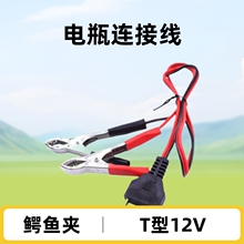 ���Ͳ��Ͱl늙C�����늾� �{�~�A�ƿ�B�Ӿ�12V��ؓ�OT�ͽ��^