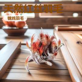 厂家直供5-9公分锦鸡红丝羽毛 天然野鸡毛 耳环配饰 服饰配饰饰品