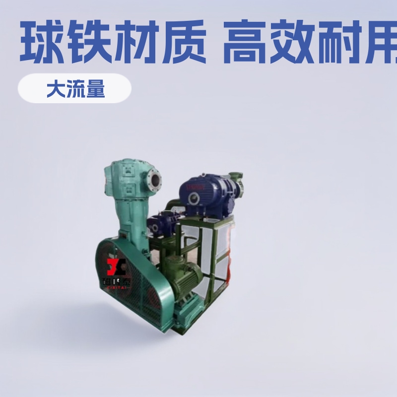 JZJW罗茨往复泵机组工业真空设备JZJWLW150.150.100无油真空机组