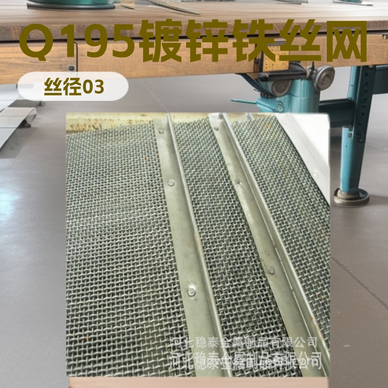 供应优质Q195铁丝网，铁丝编织网，铁丝过滤网 热镀锌铁丝筛网