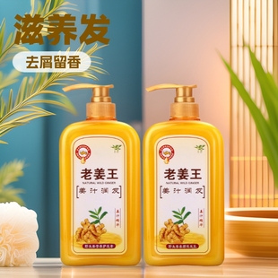 Ginger shampoo wholesale factory genuine anti-dandruff shampoo wash and protection set refreshing Oil Control Shampoo Shampoo