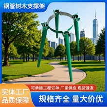 钢管树木支撑架苗木防风防倒绿化支撑杆镀锌钢管烤漆抱箍大树固定